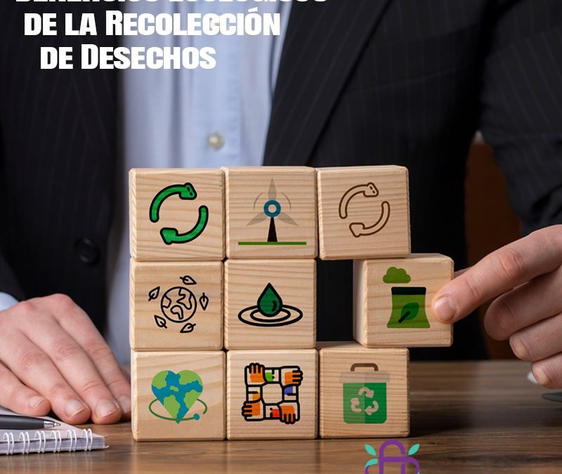 Beneficios Ecológicos de la Recolección de Desechos Femeninos Sostenible